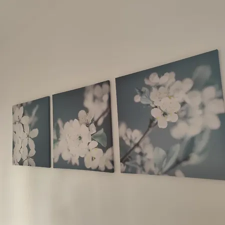 Apartamento Lc House